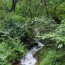 물깨말구구리길(봄내길 2코스) 이미지