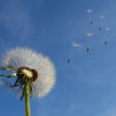 청심국제중학교 이미지