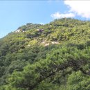 동악산 티스토리