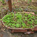 다미농원 이미지