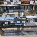 용문 애견 이미지