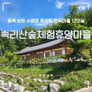먼나머루휴양펜션 | 속리산숲체험휴양마을 한옥마을 천왕봉 12인실 수영장