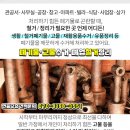 위전4리 이미지