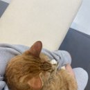 365동물병원 위례점 이미지