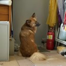 5月