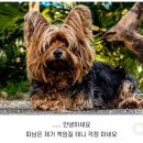 행운마트 이미지