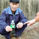 지곡천 3 이미지