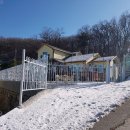 불은면사무소 네이버블로그