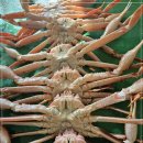 소영횟집 이미지