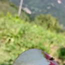 샬롬농원 이미지