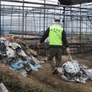 안막2구 이미지