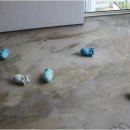9아트 이미지