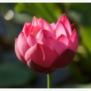 옥골농장 이미지