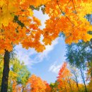 아르떼의원 이미지