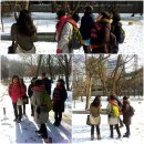 지난 1월초 윤샘과 함께 한 창경궁의 겨울나무 수업~~ 이미지