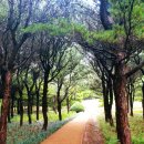 메타세쿼이아길 공중화장실 | 익산 힐링명소 아가페정원 가을풍경 메타세쿼이아숲길 솔직후기