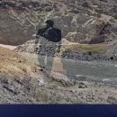 보람그루밍 이미지