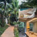 (12/14) 성인_라탄볼 리스 | 보홀 나만 알고 싶은 숙소 아모리타 리조트 디럭스룸 내돈내산 조식 룸컨디션 장단점