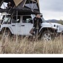 경북카마스타 이미지