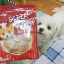 디어마이펫(DEARMYPET) 이미지