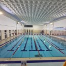 웅천중앙로 이미지