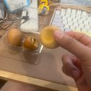 더치앤빈역삼역점