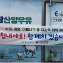 이담가구
