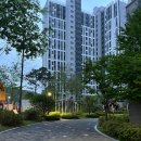 연대카서비스 | 20250703, 3박4일 제주 1일차 - 신설오름 몸국 도두봉 이호테우 신라스테이 수영장 블랙씨걸 후기