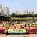안양천 산책로 네이버블로그