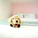 키즈풀빌라미스터준 이미지