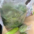 부흥세탁소 이미지