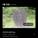 북삼리석조여래입상 이미지