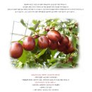 성리농장 이미지