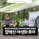 정선 아리랑과 락이 만나다! 사북 고한 함백산 야생화투어 이벤트 전문MC가 알려주는 완전 리얼 후기