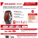 드래곤모터스 Daum카페