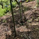 잘크는농장 이미지