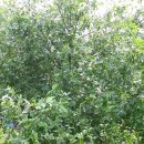 가야농원 이미지