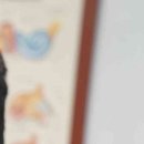 만곡 | 비중격 만곡증 수술 후기 상담 후 선택 전 부작용 회복기간 체크