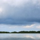 우성농원 | 제주도 여행 4 | 자매국수, 커피 템플, 돌문화공원, 공항근처 맛집추천