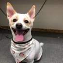 38점5도씨 이미지