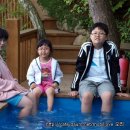 숲속의바다펜션 이미지