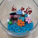 자연가습 이끼 테라리엄 이미지