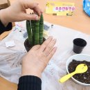 커피박 클레이 방향제 만들기 이미지