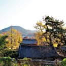 전주향교 이미지