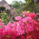 원당약수터 이미지