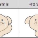 (주)미띤