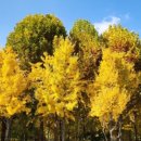 공릉동근린공원 이미지