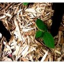 시인공간 이미지