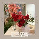 로즈 플라워(ROSE FLOWER) | 광주 첨단 가정의 달 꽃집 로즈포엠 어버이날 선물 후기