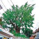 소원경로당 이미지